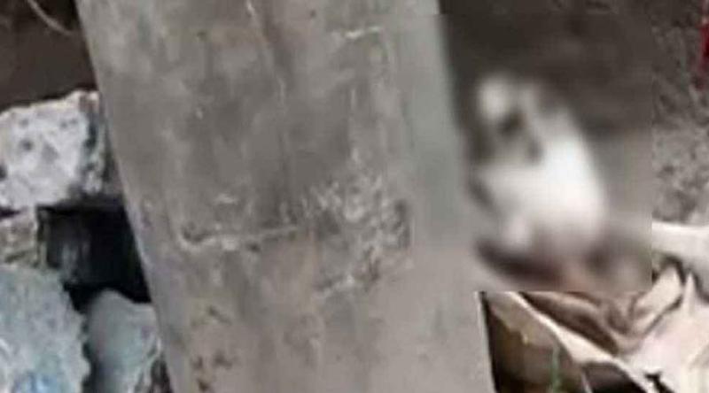 মোহাম্মদপুর কাদেরাবাদ হাউজিংয়ে রাস্তার পাশ থেকে মানুষের কঙ্কাল উদ্ধার