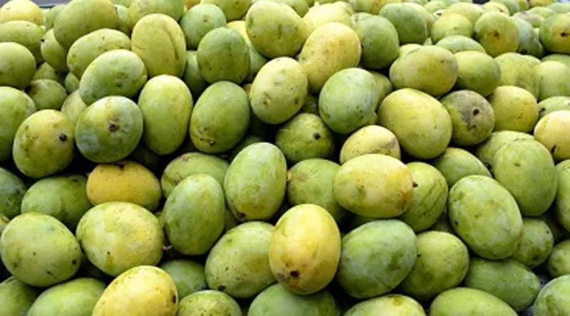জেনে নিন হিমসাগর-গোপালভোগ আম চেনার উপায়