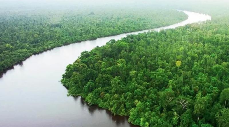সুন্দরবনে জলদস্যুদের হানা, ১২ জেলেসহ ট্রলার অপহরণ