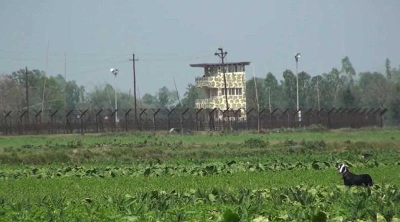 পাটগ্রাম সীমান্তে ভারতীয় চোরাকারবারিদের লক্ষ্য করে বিজিবির গুলি