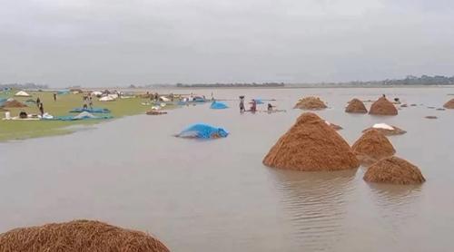 ঈদের আগে ফসলহারা সিলেটের কৃষকরা, সরকারি সহায়তা পাওয়ার আশাও কম