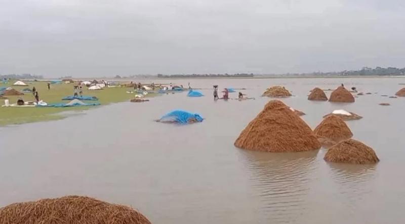 ঈদের আগে ফসলহারা সিলেটের কৃষকরা, সরকারি সহায়তা পাওয়ার আশাও কম