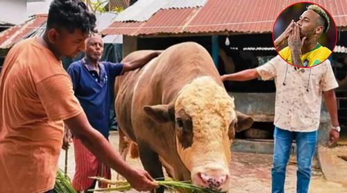 বিক্রি হলো ‘নেইমার’, দাম ৮ লাখ