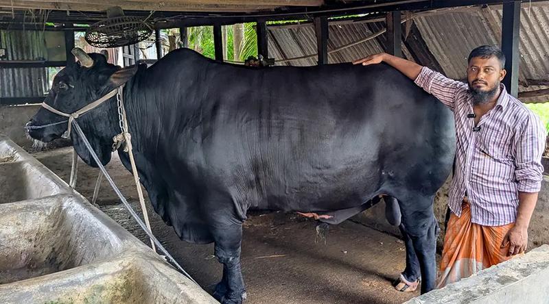 বিক্রি হলো খালেদা জিয়াকে উপহার দেওয়া সেই ‘কালো মানিক’