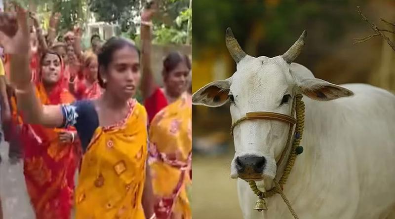 গরু কোরবানির দাবিতে পশ্চিমবঙ্গে হিন্দুদের বিক্ষোভ, বিরোধিতায় আলেমরা