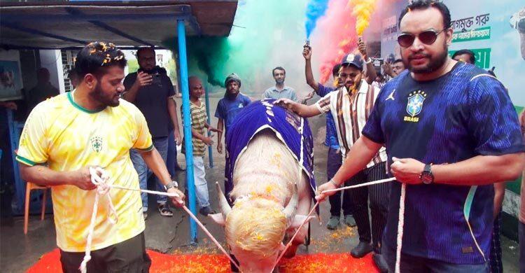 খামার থেকে ‘ডোনাল্ড ট্রাম্প’-কে রাজসিক বিদায়
