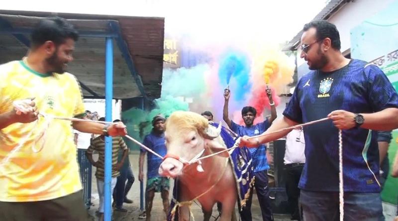 ‘ডোনাল্ড ট্রাম্প’ নামের মহিষটিকে লাল গালিচায় বিদায় জানালেন খামারিরা
