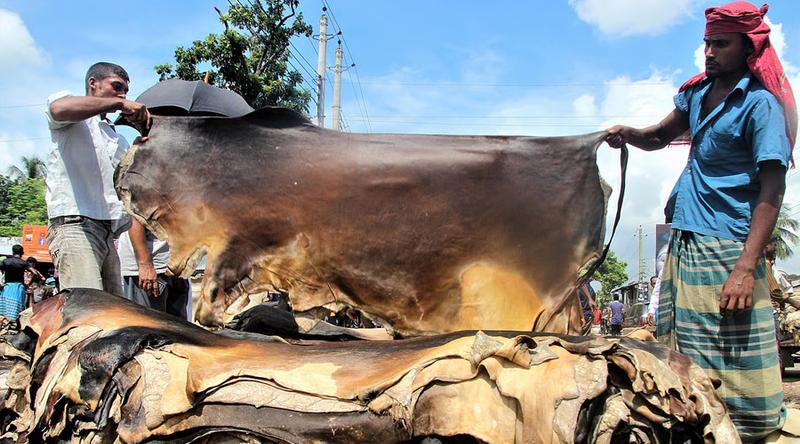কুরবানির চামড়া নিয়ে এবারও বিপর্যয়ের শঙ্কা