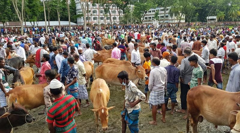 হাটে শেষদিনেও ক্রেতা কম, ব্যাপারীদের কপালে চিন্তার ভাঁজ