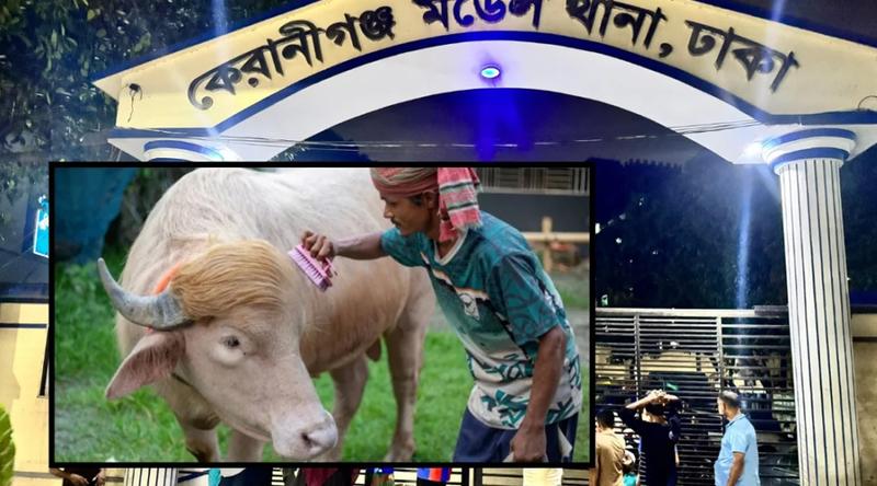 থানা হেফাজতে 'ডোনাল্ড ট্রাম্প'