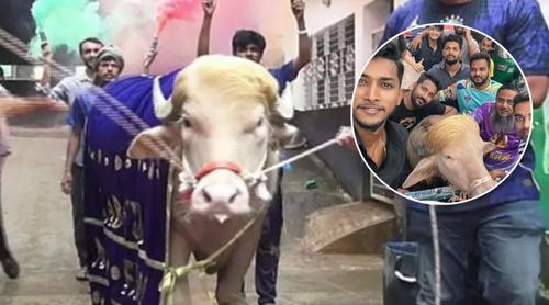 থানা থেকে চিড়িয়াখানায় নেওয়া হচ্ছে ‘ডোনাল্ড ট্রাম্প’কে