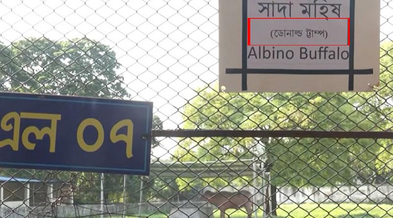 ‘ডোনাল্ড ট্রাম্প’ বানান ভুল লিখে ভাইরাল চিড়িয়াখানা কর্তৃপক্ষ