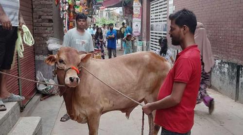 ঢাকায় ঈদের দ্বিতীয় দিনেও চলছে পশু কোরবানি