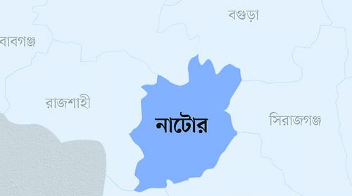 নাটোরে সিএনজি-মোটরসাইকেলের মুখোমুখি সংঘর্ষে আহত ৩