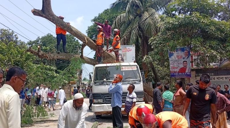 গাছ পড়ে কুমিল্লা-সিলেট মহাসড়কে ৩ ঘণ্টা যান চলাচল বন্ধ