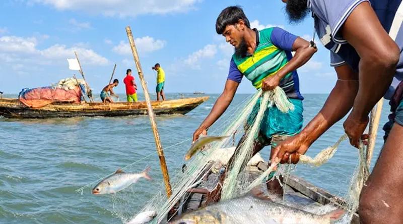 ৮ অক্টোবর থেকে ২২ দিন ইলিশ ধরা বন্ধ