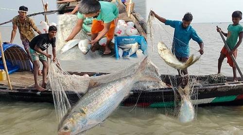 ২২ দিনের মাছ ধরার নিষেধাজ্ঞা শুরু আজ, দুশ্চিন্তায় জেলেরা