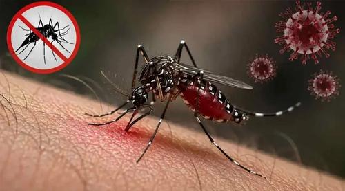 ডেঙ্গুতে মৃত্যু ৩০০ ছাড়াল, আক্রান্ত লাখ ছুঁইছুঁই