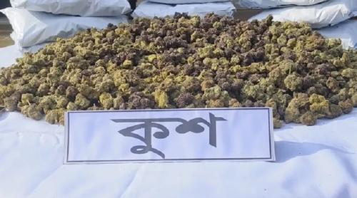 বাংলাদেশে ঢুকছে নতুন মাদক ‘কুশ’: কতটা বিপজ্জনক এই মাদক?