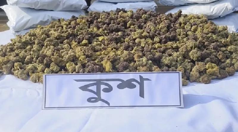 বাংলাদেশে ঢুকছে নতুন মাদক ‘কুশ’: কতটা বিপজ্জনক এই মাদক?