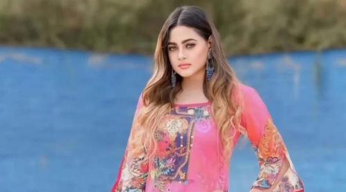 মডেল ও অভিনেত্রী তুলনা আর নেই