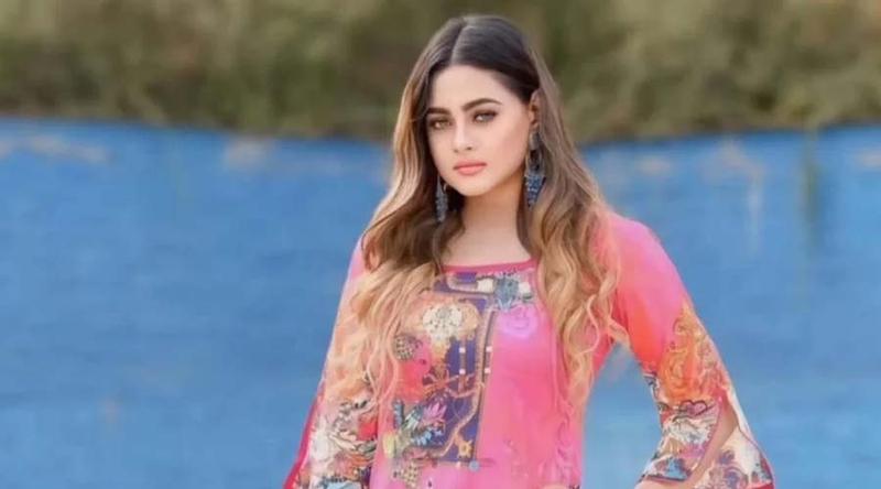 মডেল ও অভিনেত্রী তুলনা আর নেই
