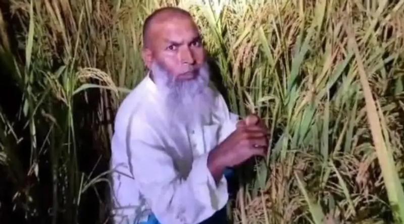 ধানক্ষেতে লুকিয়ে থাকা কার্যক্রম নিষিদ্ধ আওয়ামী লীগ নেতা গ্রেপ্তার