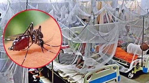 খুলনা বিভাগে এক দিনে রেকর্ড ৩৩৪ ডেঙ্গু রোগী হাসপাতালে ভর্তি