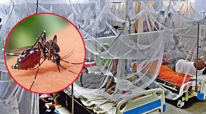 খুলনা বিভাগে এক দিনে রেকর্ড ৩৩৪ ডেঙ্গু রোগী হাসপাতালে ভর্তি