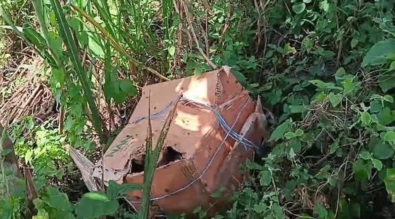ধানক্ষেতের পাশে পড়ে থাকা কার্টনে মিলল ছয় টুকরো মরদেহ