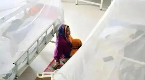 ডেঙ্গু জ্বর নিয়ে হাসপাতালে ভর্তি ৫০ হাজার ছাড়ালো, মৃত্যু ১৪৩