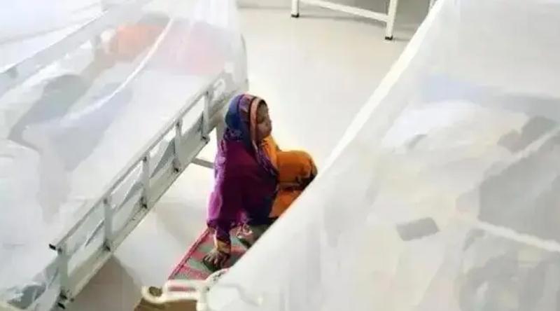 ডেঙ্গু জ্বর নিয়ে হাসপাতালে ভর্তি ৫০ হাজার ছাড়ালো, মৃত্যু ১৪৩