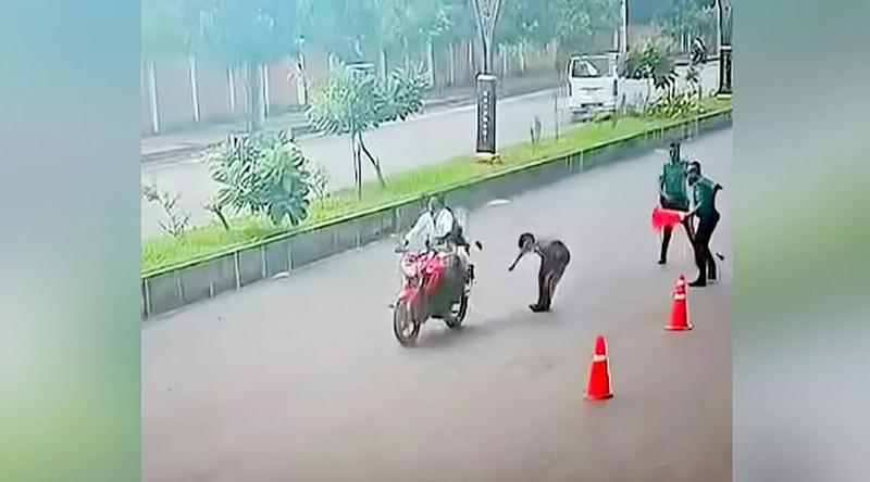 সিগন্যাল অমান্য করে পালাতে গিয়ে ধাক্কা, হাসপাতালে দুই পুলিশ
