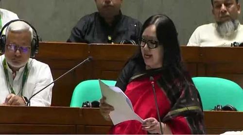 সংসদ সদস্যদের কাছে ব্যাংকের পাওনা ১১ হাজার ৩৫৬ কোটি টাকা: রুমিন ফারহানা