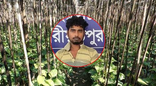 পানের বরজে কিশোরীকে নিয়ে ধর্ষণের অভিযোগ, যুবক গ্রেপ্তার