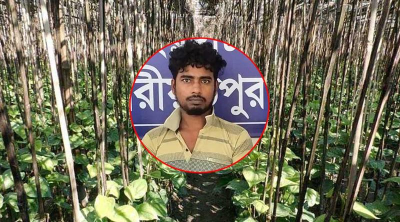 পানের বরজে কিশোরীকে নিয়ে ধর্ষণের অভিযোগ, যুবক গ্রেপ্তার