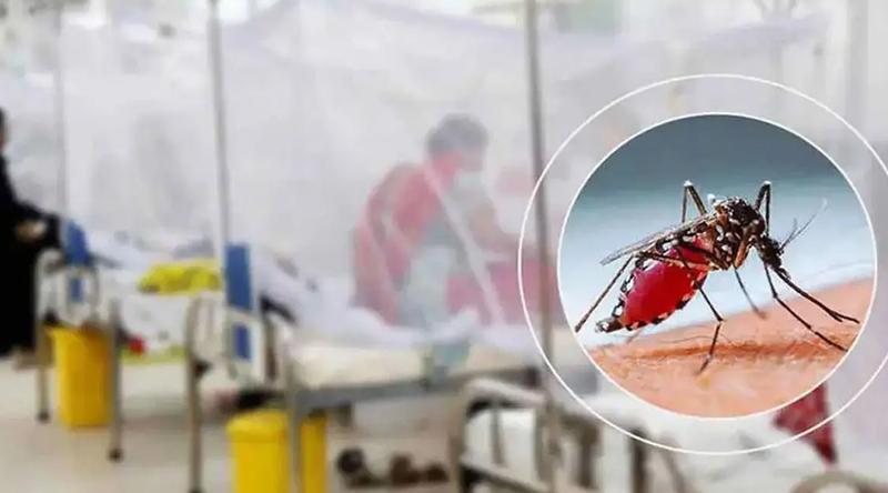 ডেঙ্গুতে একদিনে ৬ জনের মৃত্যু, হাসপাতালে ভর্তি ১৯৪৮